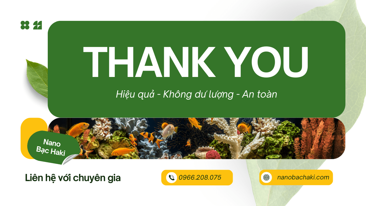 Dấu hiệu nhận biết cá bị bệnh, nguyên nhân và cách điều trị 8 Phòng ngừa nước bể cá bị đục bằng cách sử dụng chế phẩm sinh học Nano Bạc Haki