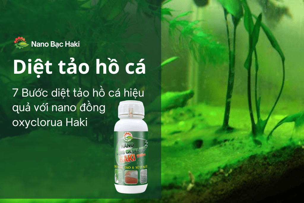 7 Bước diệt tảo hồ cá hiệu quả với nano đồng oxyclorua Haki 6 7 Bước diệt tảo hồ cá hiệu quả với nano đồng oxyclorua Haki