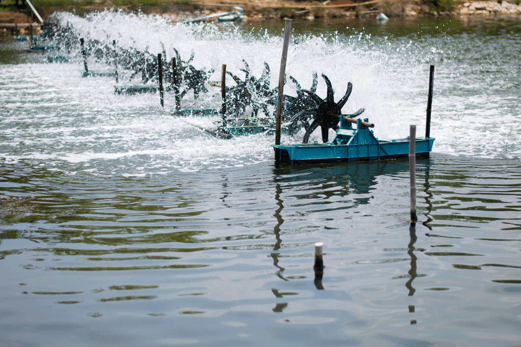 Xử lý nước ao nuôi bằng công nghệ nano